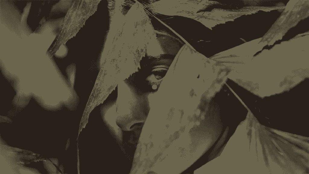 samadha-positive-studio-2